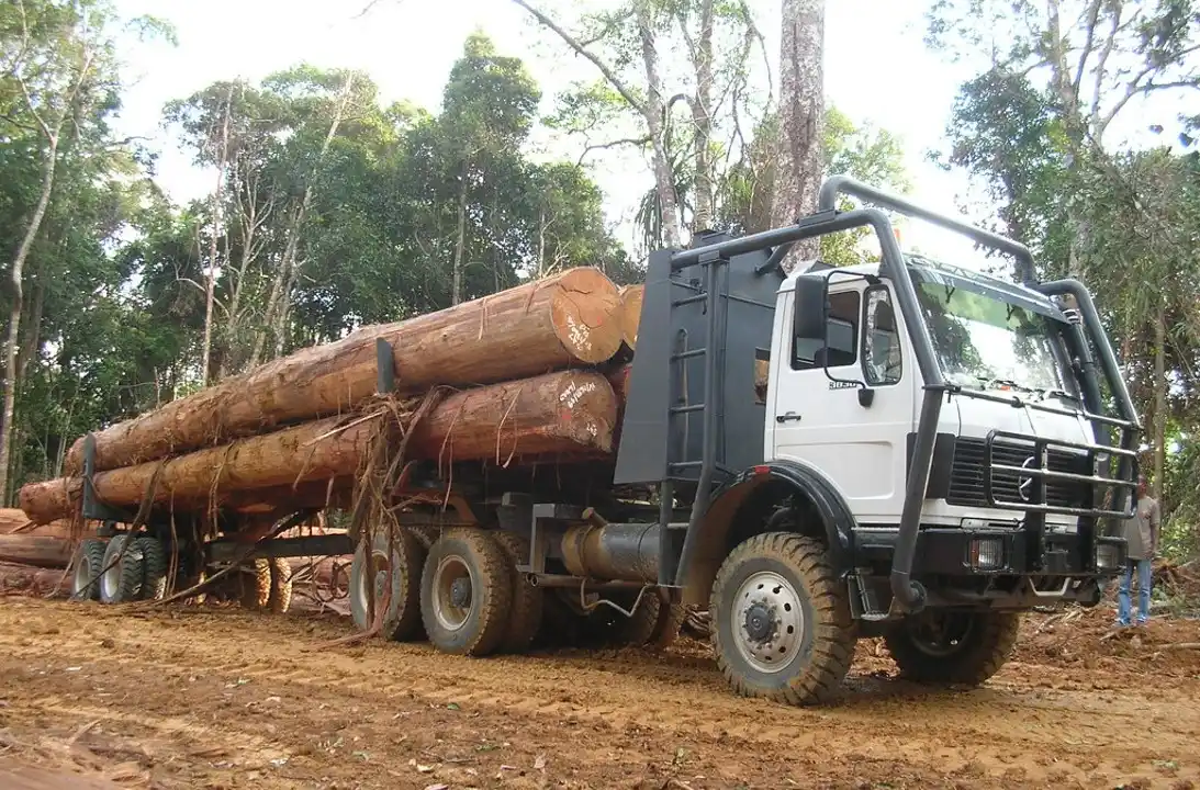 karoseri logging trailer indonesia