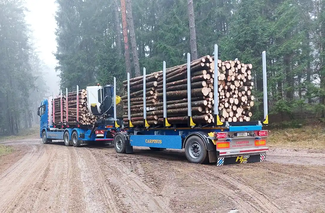 karoseri logging trailer indonesia