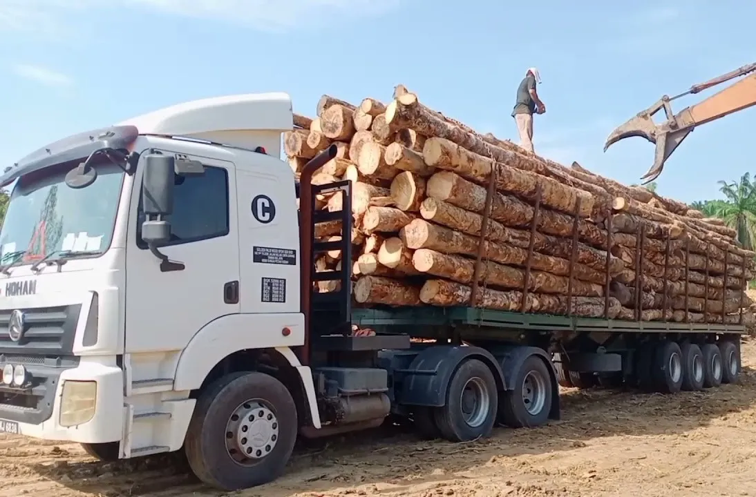 karoseri logging trailer indonesia